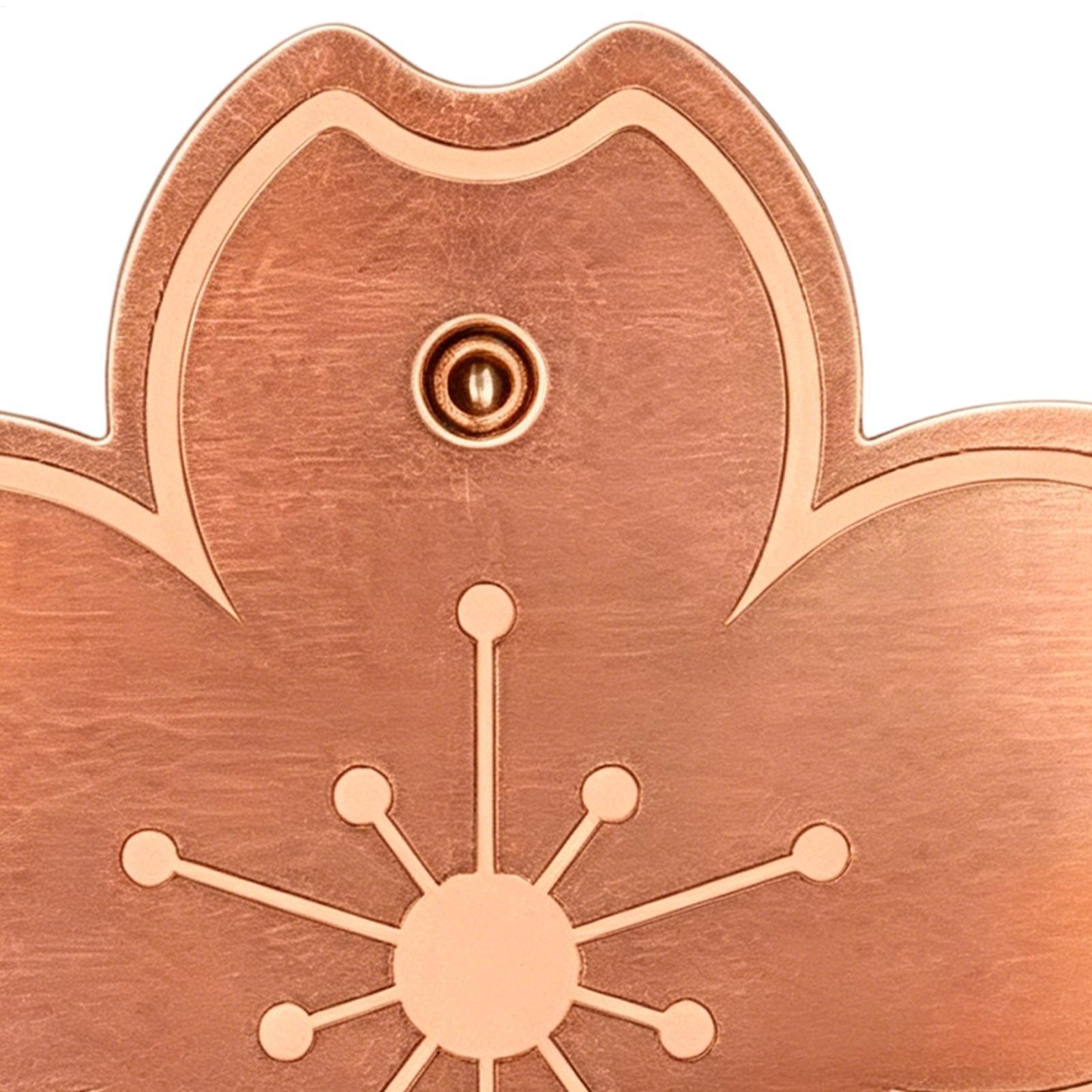 Plaque de purification en cuiv - Watches & Jewelry Repair Center avis et prix