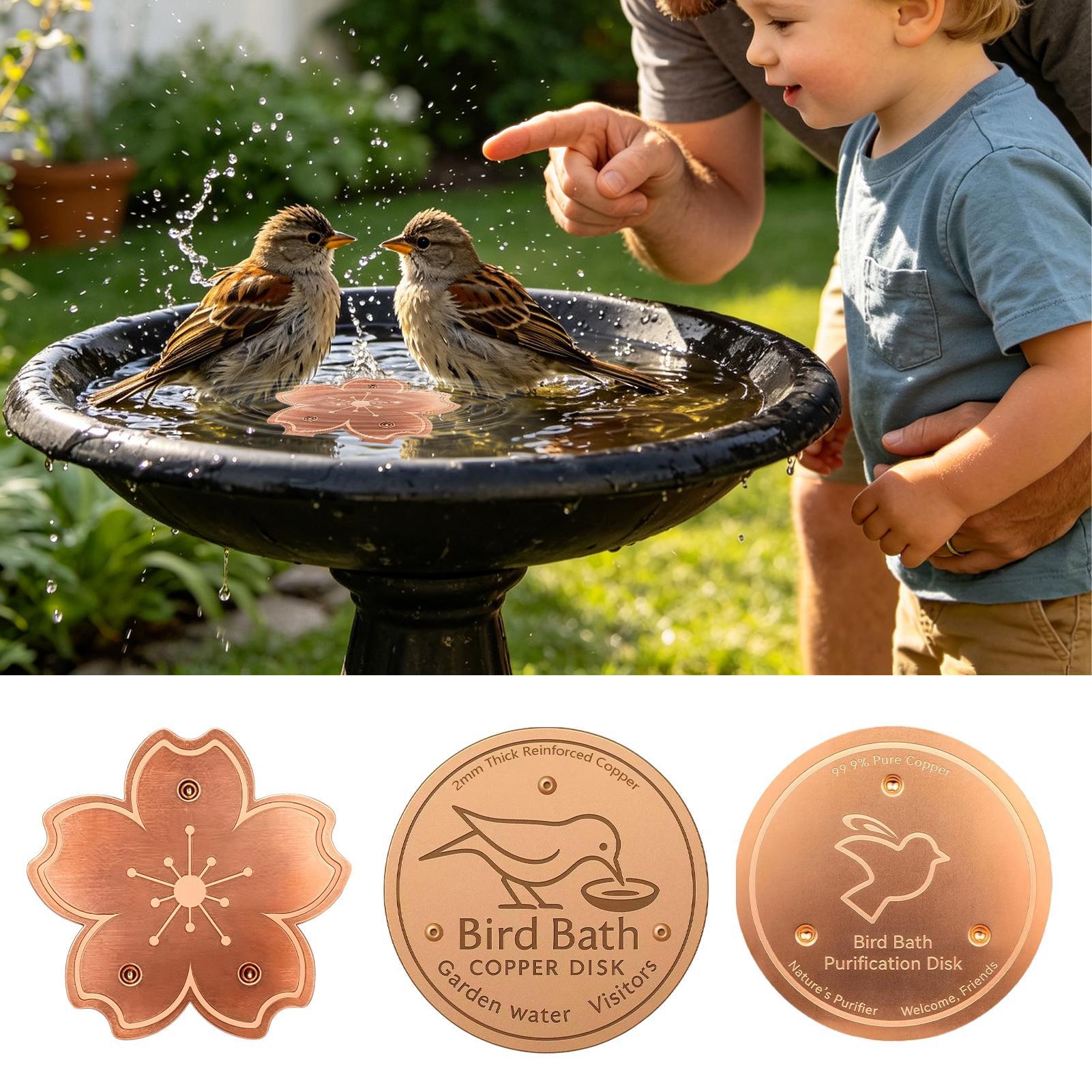 Plaque de purification en cuiv - Watches & Jewelry Repair Center avis et prix